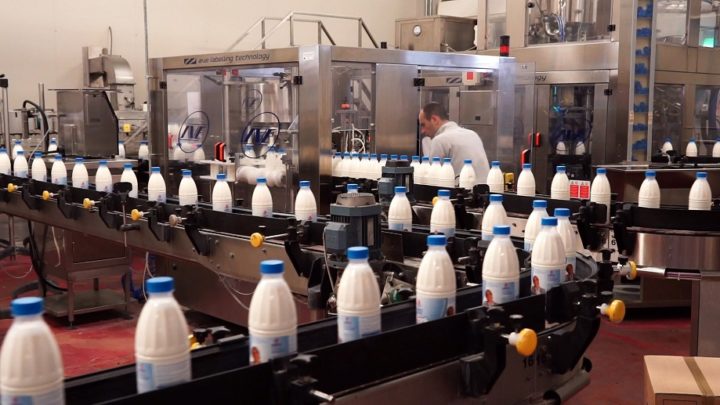 AGRICOLTURA: LE MISURE DI SOSTEGNO AL SETTORE AVICOLO E LATTIERO-CASEARIO