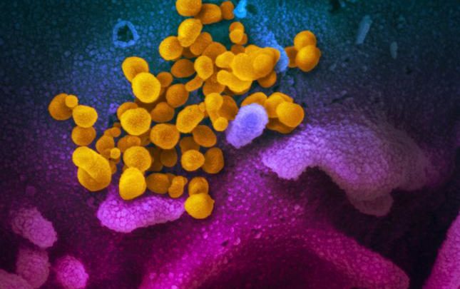 CORONAVIRUS: NUOVE REGOLE PER LA SCUOLA