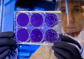 CORONAVIRUS: AGGIORNAMENTO CASI ALLE ORE 8 DI DOMENICA 26 APRILE