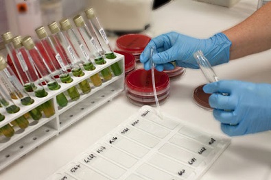 CORONAVIRUS: AGGIORNAMENTO ALLE ORE 8 DEL 7 APRILE