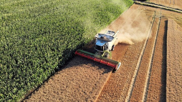 AL VIA IL NUOVO BANDO PER L’INSEDIAMENTO DEI GIOVANI AGRICOLTORI, PLAFOND DA 6,5 MILIONI. MELONI: “IMPEGNO PER SOSTENERE IL RICAMBIO GENERAZIONALE, I GIOVANI SONO LA PRIORITÀ”