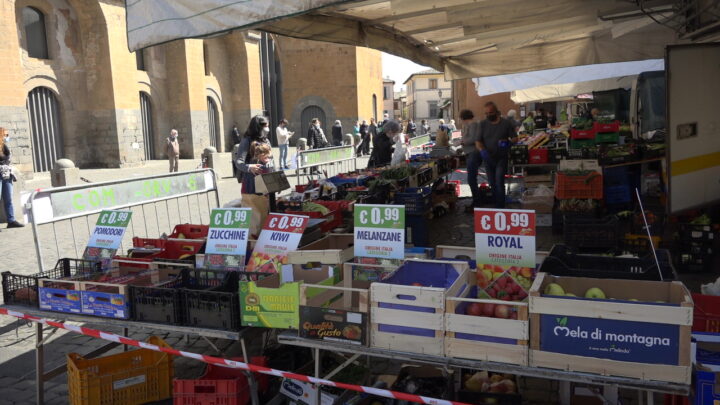 MODIFICA REGOLAMENTO SU DISLOCAZIONE E RIDUZIONE DEI POSTEGGI NEL MERCATO DI PIAZZA DEL POPOLO