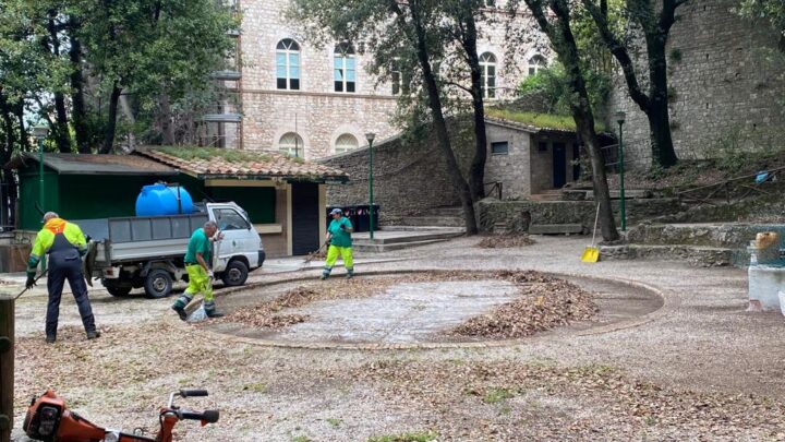 LAVORI DI RIQUALIFICAZIONE DEL PINCIO  E MANUTENZIONE DELLE AREE VERDI