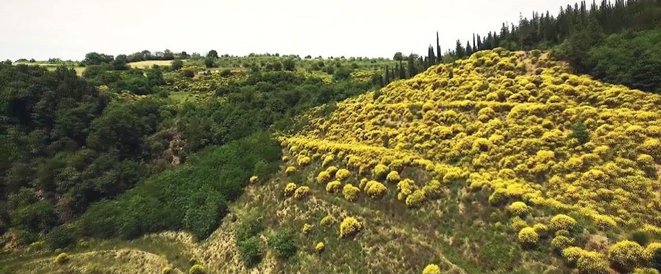 IL PRESIDENTE DI CONFAGRICOLTURA UMBRIA FABIO ROSSI: “DALLA RISERVA DELLA BIOSFERA UNESCO DEL MONTE PEGLIA GRANDE VALORE AGGIUNTO PER LA RIPARTENZA DI TUTTA L’UMBRIA”.