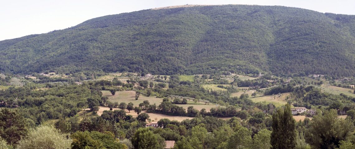 IL PARCO DEL MONTE SUBASIO SARA’ GESTITO  DALL’ASSOCIAZIONE DEI COMUNI  ASSISI E’ CAPOFILA DEL PROGETTO  VIDEOCONFERENZA CON LA REGIONE E I 4 SINDACI