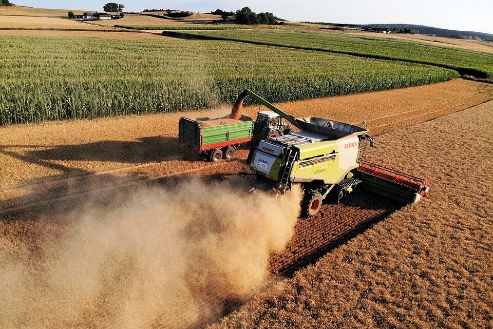 AGRICOLTURA UMBRA, NUOVI BANDI PER 76 MILIONI. MELONI: “INVESTIAMO IN SOSTENIBILITÀ, INNOVAZIONE E COMPETITIVITÀ. PER I GIOVANI 12 MILIONI”