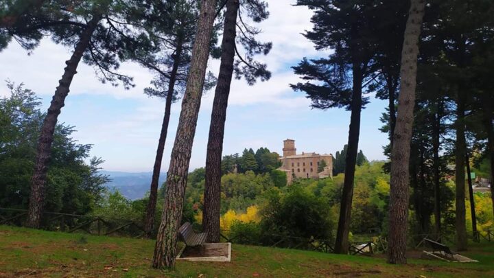 A CASTEL VISCARDO E CASTEL GIORGIO GIORNATA ECOLOGICA: VOLONTARI RIPULISCONO STRADE TERRITORIO