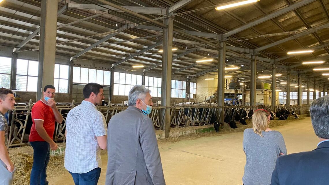 ECONOMIA: “VALNERINA CUORE DELL’UMBRIA: DA QUI DOBBIAMO RIPARTIRE” – MANCINI (LEGA) HA INCONTRATO AZIENDE ZOOTECNICHE DEL TERRITORIO
