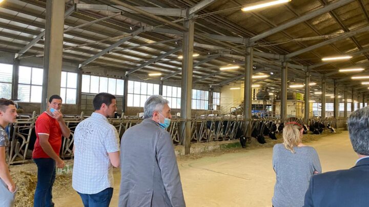 ECONOMIA: “VALNERINA CUORE DELL’UMBRIA: DA QUI DOBBIAMO RIPARTIRE” – MANCINI (LEGA) HA INCONTRATO AZIENDE ZOOTECNICHE DEL TERRITORIO