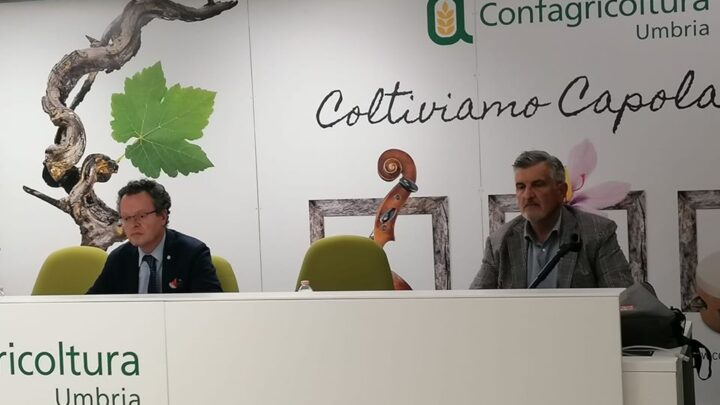 COOPERAZIONE E PROMOZIONE PER LA RIPARTENZA IMMEDIATA E SVILUPPO DEL SETTORE NEL LUNGO PERIODO.LA GIUNTA DI CONFAGRICOLTURA UMBRIA HA INCONTRATO L’ASSESSORE REGIONALE ROBERTO MORRONI, METTENDO COSÌ IN CAMPO UN’AZIONE DI SENSIBILIZZAZIONE SULLE CRITICITÀ DI COMPARTI AGRICOLI