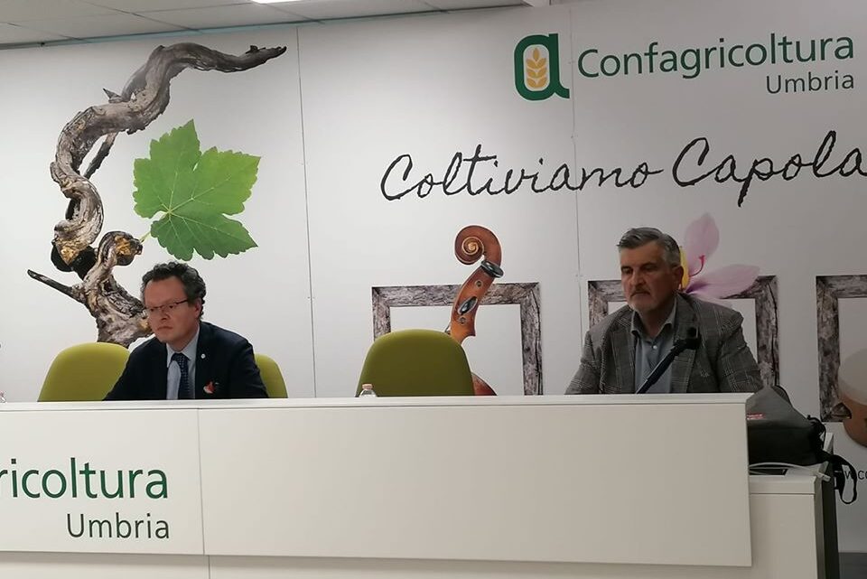 COOPERAZIONE E PROMOZIONE PER LA RIPARTENZA IMMEDIATA E SVILUPPO DEL SETTORE NEL LUNGO PERIODO.LA GIUNTA DI CONFAGRICOLTURA UMBRIA HA INCONTRATO L’ASSESSORE REGIONALE ROBERTO MORRONI, METTENDO COSÌ IN CAMPO UN’AZIONE DI SENSIBILIZZAZIONE SULLE CRITICITÀ DI COMPARTI AGRICOLI