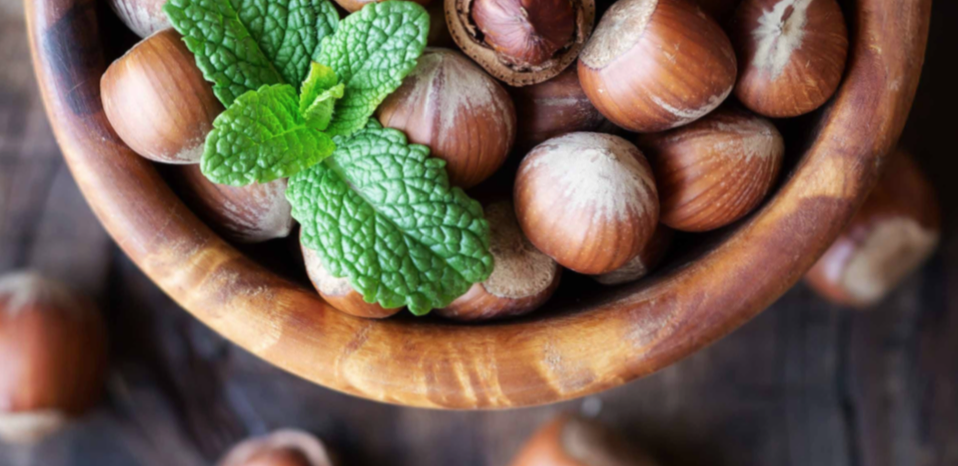 LO SVILUPPO DELLA FILIERA DEL NOCCIOLO IN UMBRIA, TRA OPPORTUNITÀ  E TECNICHE DI CORILICOLTURA.