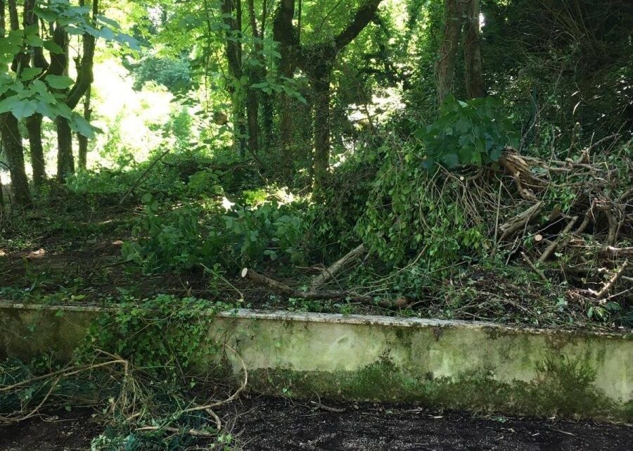 ACQUASPARTA, PARTITI LAVORI RECUPERO PARCO EX TERME AMERINO E GIARDINI CESI, MONTANI: “RIDARE A COMUNITÀ SUOI LUOGHI DEL CUORE”