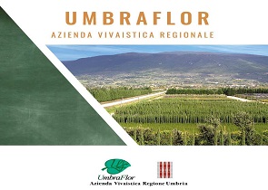 GIUNTA REGIONALE NOMINA NUOVO AMMINISTRATORE UNICO DI UMBRAFLOR