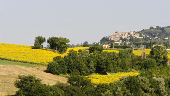 IL TOUR DELL’ARENA ESTIVA DI OLTRE IL VISIBILE FA TAPPA A BASCHI