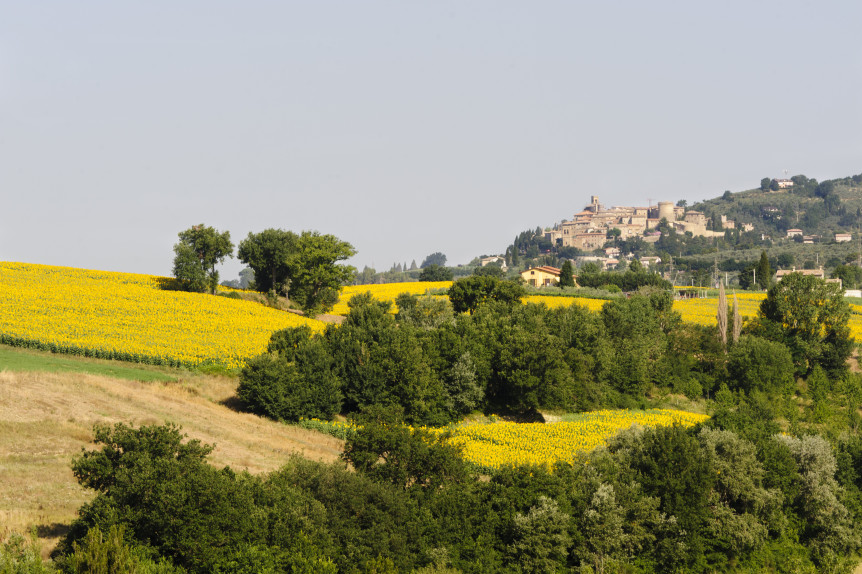 IL TOUR DELL’ARENA ESTIVA DI OLTRE IL VISIBILE FA TAPPA A BASCHI