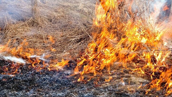 L’AMMINISTRATORE DELEGATO DI ANAS, GEMME: “UN COMPORTAMENTO CORRETTO ALLA GUIDA NON SI LIMITA SOLO AL RISPETTO DEL CODICE DELLA STRADA, MA INCLUDE ANCHE LA TUTELA DELL’AMBIENTE CHE CI CIRCONDA”
