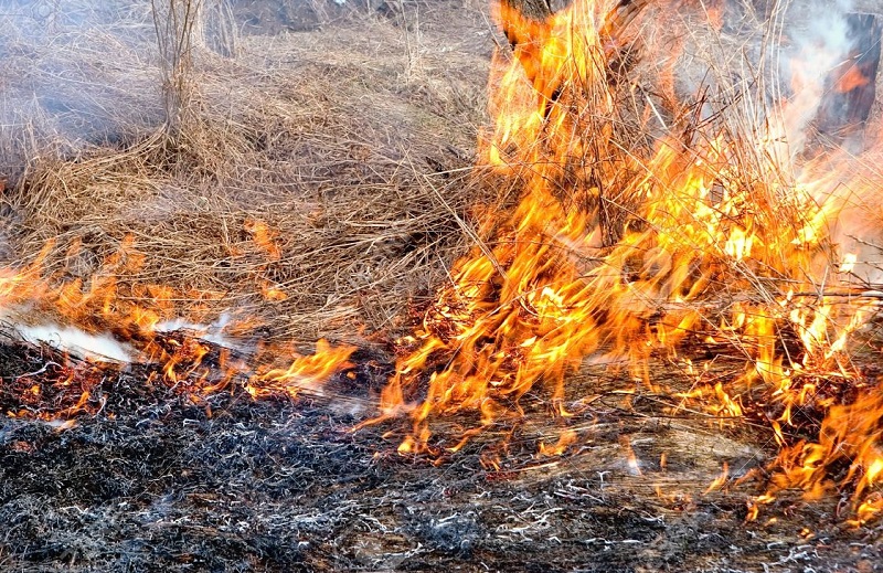 PREVENZIONE INCENDI: OBBLIGO DI RIMOZIONE  DI VEGETAZIONE SECCA INFIAMMABILE  IN TERRENI PRIVATI E PERTINENZE STRADALI  CONTROLLI E MULTE DA PARTE DELLE FORZE DELL’ORDINE
