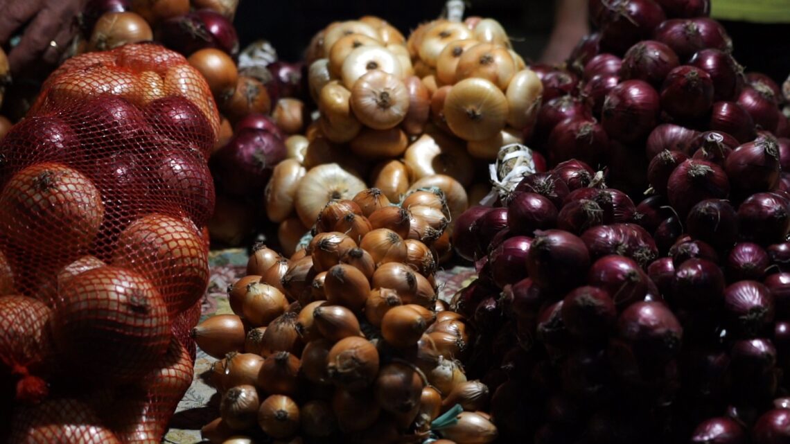 CANNARA, LA FESTA DELLA CIPOLLA DÀ APPUNTAMENTO A SETTEMBRE 2021