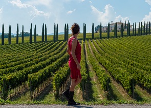 ENOTURISMO: APPROVATO DISCIPLINARE PER ESERCIZIO ATTIVITÀ ENOTURISTICA NEL TERRITORIO REGIONALE. ASSESSORE MORRONI: REGIONE UMBRIA RECEPISCE LEGGE CHE NORMA E VALORIZZA ATTIVITÀ STRATEGICA