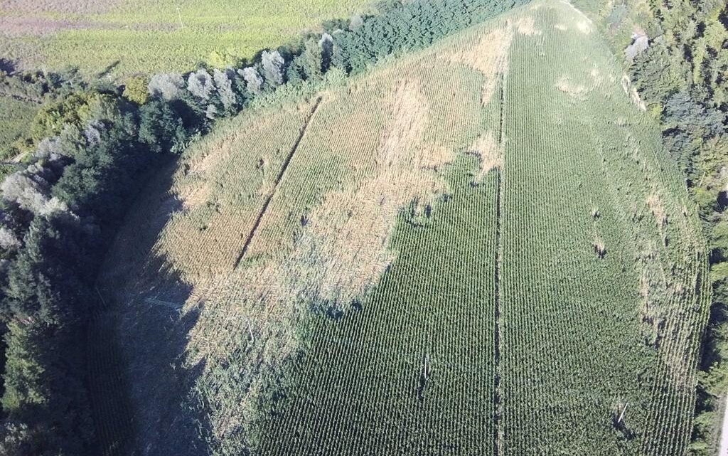 SECONDA E TERZA COMMISSIONE: DANNI CAUSATI ALL’AGRICOLTURA DALLA FAUNA SELVATICA – AUDIZIONE CON ASSESSORE MORRONI, AMBITI TERRITORIALI, ASSOCIAZIONI VENATORIE E DEGLI AGRICOLTORI