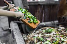 NARNI, COMUNE DISTRIBUISCE COMPOST GRATUITO RICAVATO DA RIFIUTI ORGANICI