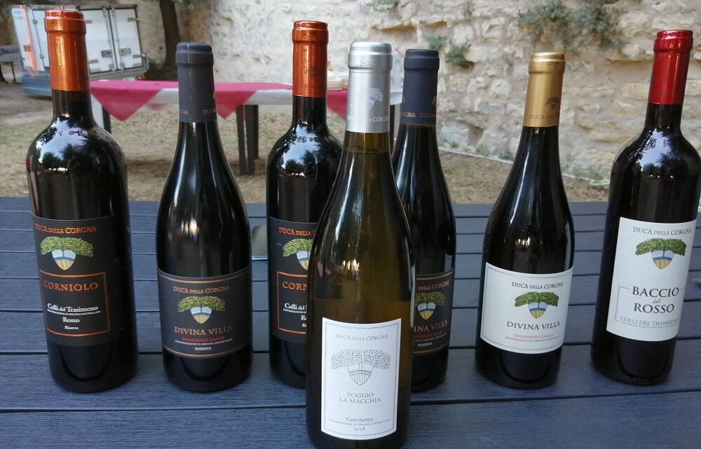 NASCE IL POGGIO LA MACCHIA, IL “CRU” DI GRECHETTO DEL TRASIMENO  DELLA CANTINA DUCA DELLA CORGNA.