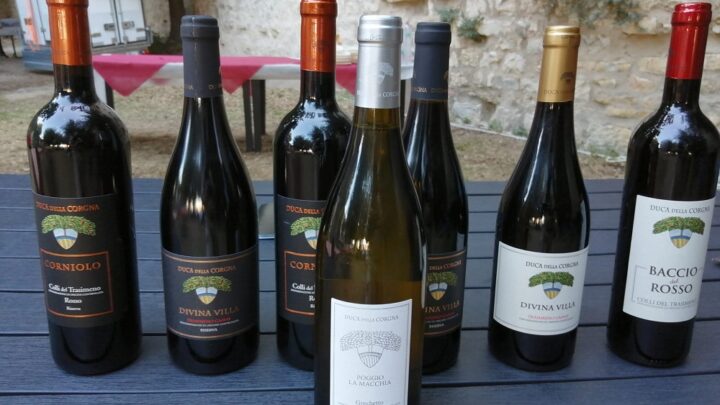 NASCE IL POGGIO LA MACCHIA, IL “CRU” DI GRECHETTO DEL TRASIMENO  DELLA CANTINA DUCA DELLA CORGNA.