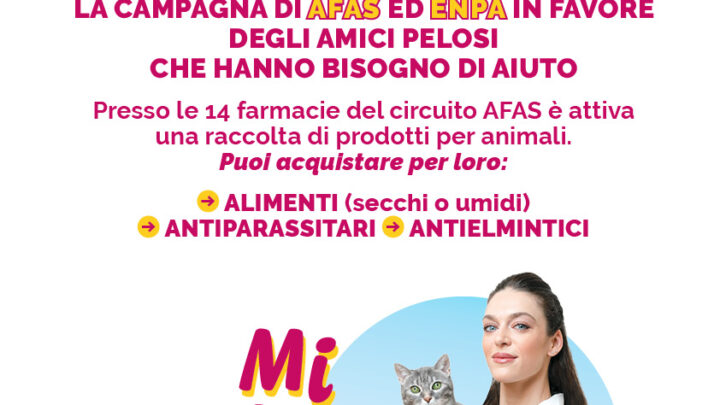 LA CUCCIA SOSPESA: UNA RACCOLTA IN FAVORE DEGLI ANIMALI