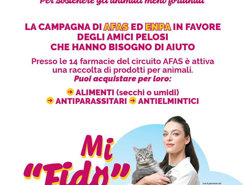 LA CUCCIA SOSPESA: UNA RACCOLTA IN FAVORE DEGLI ANIMALI