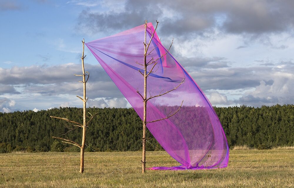 ‘MONTE IMMAGINE’: ALBERONERO RILEGGE IL PAESAGGIO NATURALE DI VALLO DI NERA  CON CINQUE INSTALLAZIONI AMBIENTALI TEMPORANEE SULL’ALTOPIANO DELL’IMMAGINE  PER IL PROGETTO ‘UMBRIA, UNA TERRA CHE TI MUOVE 2020’.