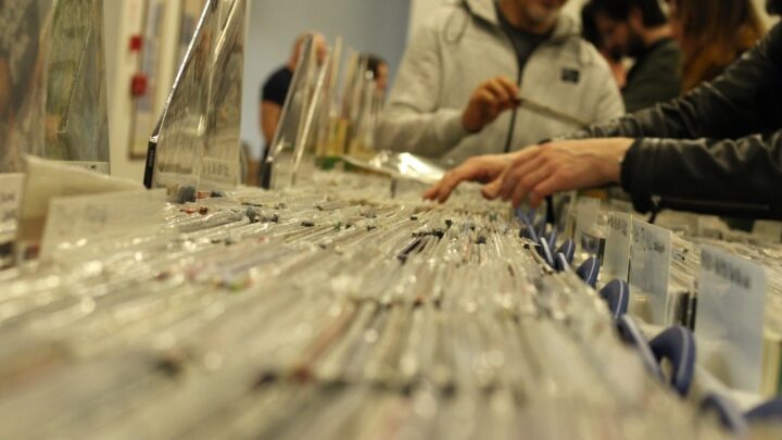 TORNA LA FIERA DEL DISCO, AL QUASAR VILLAGE LA 12ESIMA EDIZIONE