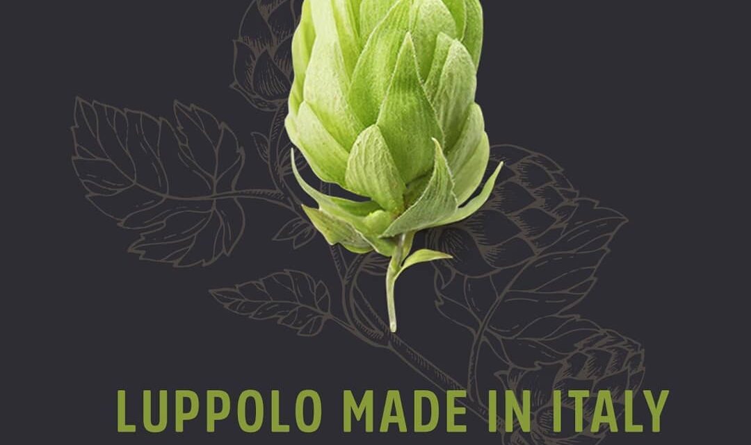 BIRRA ITALIANA AL 100%, DA OGGI SI PUÒ GRAZIE AD UNA FILIERA DEL LUPPOLO CON IL CUORE IN UMBRIA.  SARÀ QUESTO IL TEMA CENTRALE DEL CONVEGNO “LUPPOLO MADE IN ITALY: LA FILIERA DEL LUPPOLO ITALIANO”  CHE SI SVOLGERÀ IL 29 OTTOBRE (ORE 10-13 E 14-17) SOLO ONLINE IN MODALITÀ STREAMING.