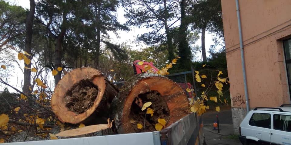 CHIUSURA TEMPORANEA AL TRAFFICO VEICOLARE DI VIA PANARO. 11, 12 E 13 GENNAIO 2021