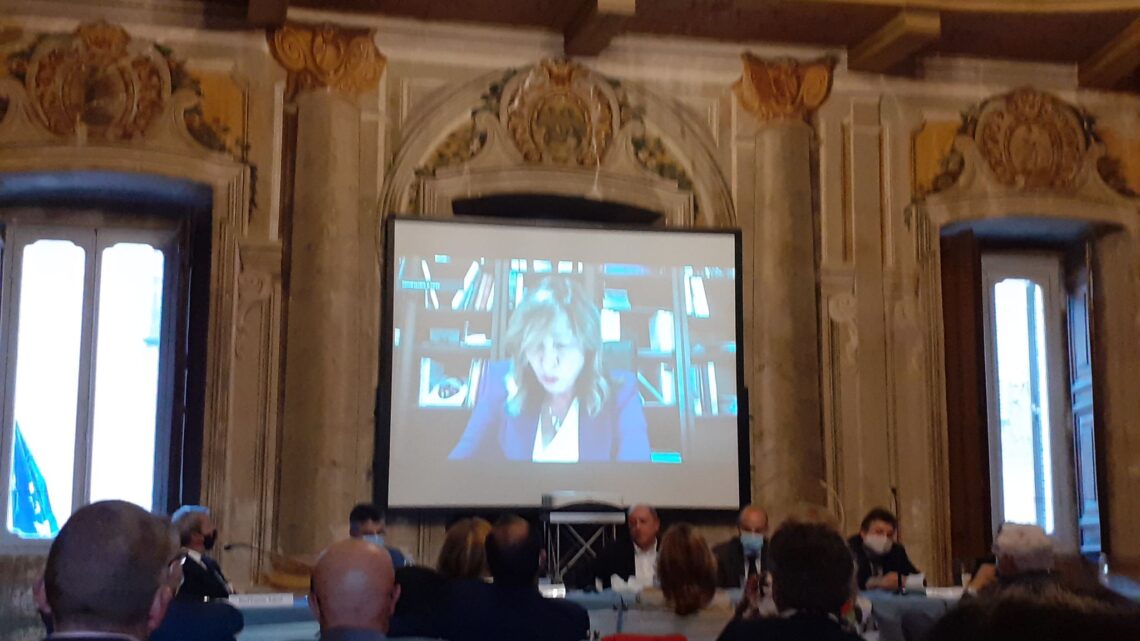 GRANDE PARTECIPAZIONE E INTERESSE PER IL CONVEGNO  “RESILIENZA AI CAMBIAMENTI CLIMATICI, TRANSIZIONE ECOLOGICA, RECOVERY FUND, GREEN DEAL”