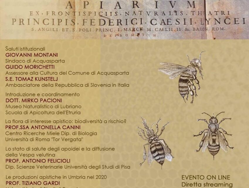 ACQUASPARTA, A PALAZZO CESI PRIMA GIORNATA DELL’APIARIUM