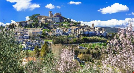 AMELIA, SETTE STUDENTI PREMIATI CON BORSE STUDIO LASCITO CIATTI