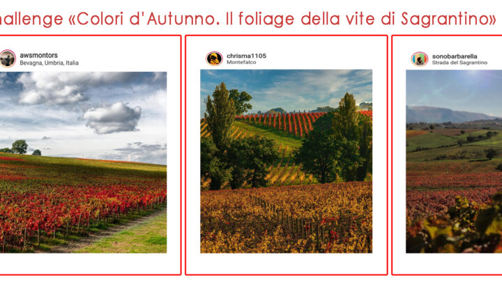 OLTRE 23MILA LIKE PER IL CONTEST FOTOGRAFICO ‘COLORI D’AUTUNNO’