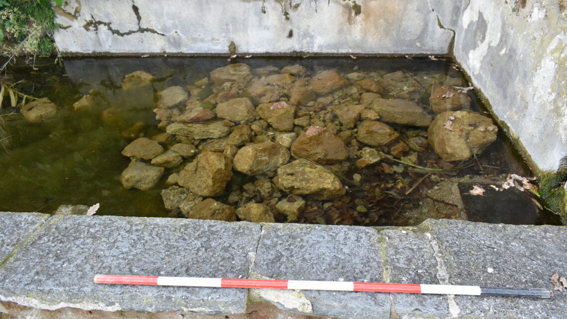 CROLLA LA MEDIEVALE FONTANA DEL LEONE