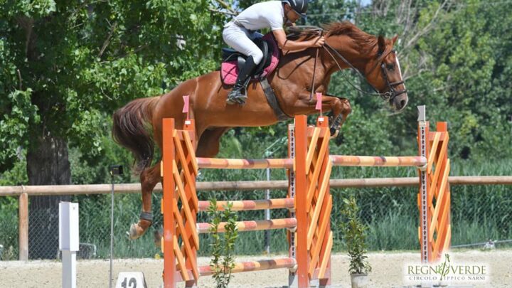 EQUITAZIONE, IN UMBRIA IL ‘FRANCO QUONDAM’ DIVENTA EVENTO INTERNAZIONALE