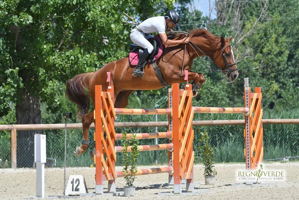 EQUITAZIONE, IN UMBRIA IL ‘FRANCO QUONDAM’ DIVENTA EVENTO INTERNAZIONALE