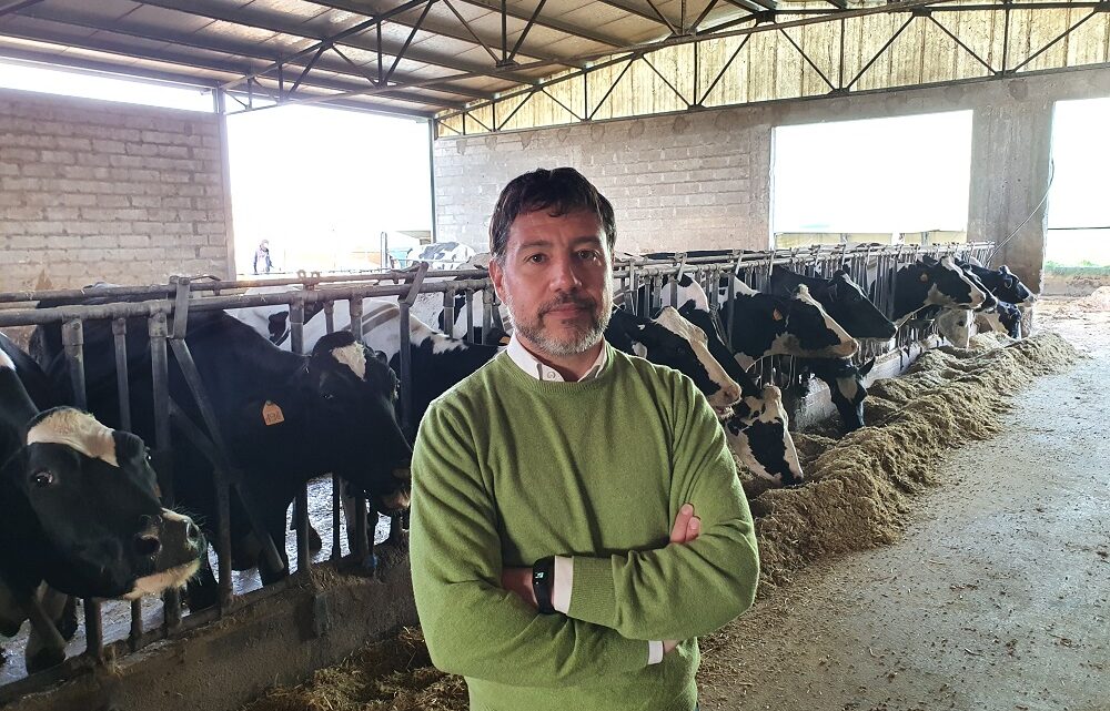 ZOOTECNIA, CONFAGRICOLTURA UMBRIA LANCIA L’ALLARME PER I COSTI DI PRODUZIONE.  SOTTO I RIFLETTORI LA FILIERA DEL LATTE E QUELLA PRODUTTIVA DEI MANGIMI.