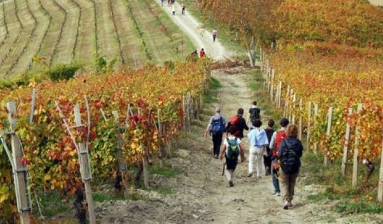 ENOTURISMO, ASSESSORE MORRONI: DISCO VERDE PER L’AVVIO DELLE ATTIVITÀ ENOTURISTICHE DA PARTE DELLE AZIENDE VITIVINICOLE DELL’UMBRIA, COMPLETATO QUADRO NORMATIVO DI RIFERIMENTO