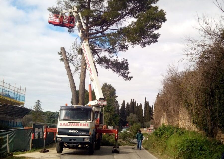 DIVIETO DI TRANSITO IN LOCALITÀ CANONICA, PER ABBATTIMENTO PIANTE PERICOLOSE. MARTEDÌ 8 FEBBRAIO 2022