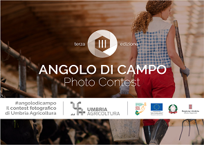 L’AGRICOLTURA UMBRA SI RACCONTA ATTRAVERSO I SOCIAL: AL VIA LA TERZA EDIZIONE DEL CONTEST FOTOGRAFICO “ANGOLO DI CAMPO”