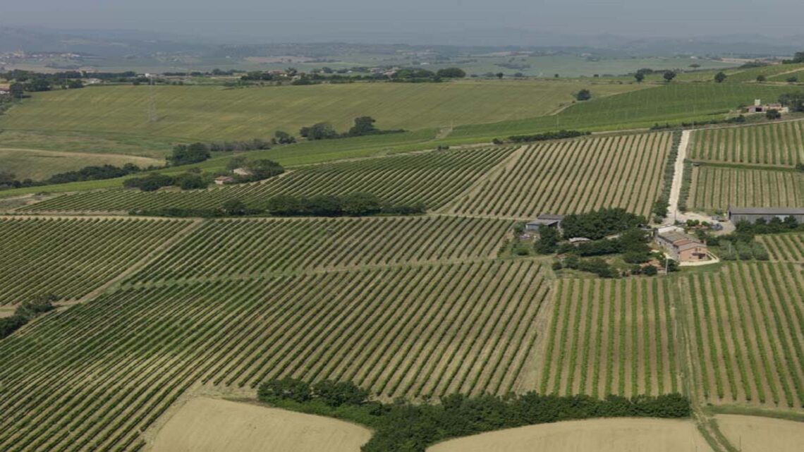 AGRITURISMI, ASSESSORE MORRONI: DIFFERITO AL 31 DICEMBRE 2021 IL TERMINE PER ADEGUARE ATTIVITÀ E RICHIEDERE USO MARCHIO, CAUSA DIFFICOLTÀ LEGATE ALLA PANDEMIA