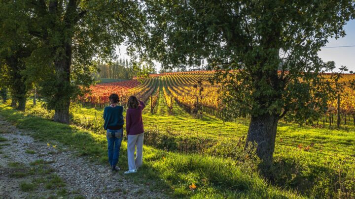 TURISMO, LA STRADA DEL SAGRANTINO PARTECIPA ALLA BIT DIGITAL EDITION 2021
