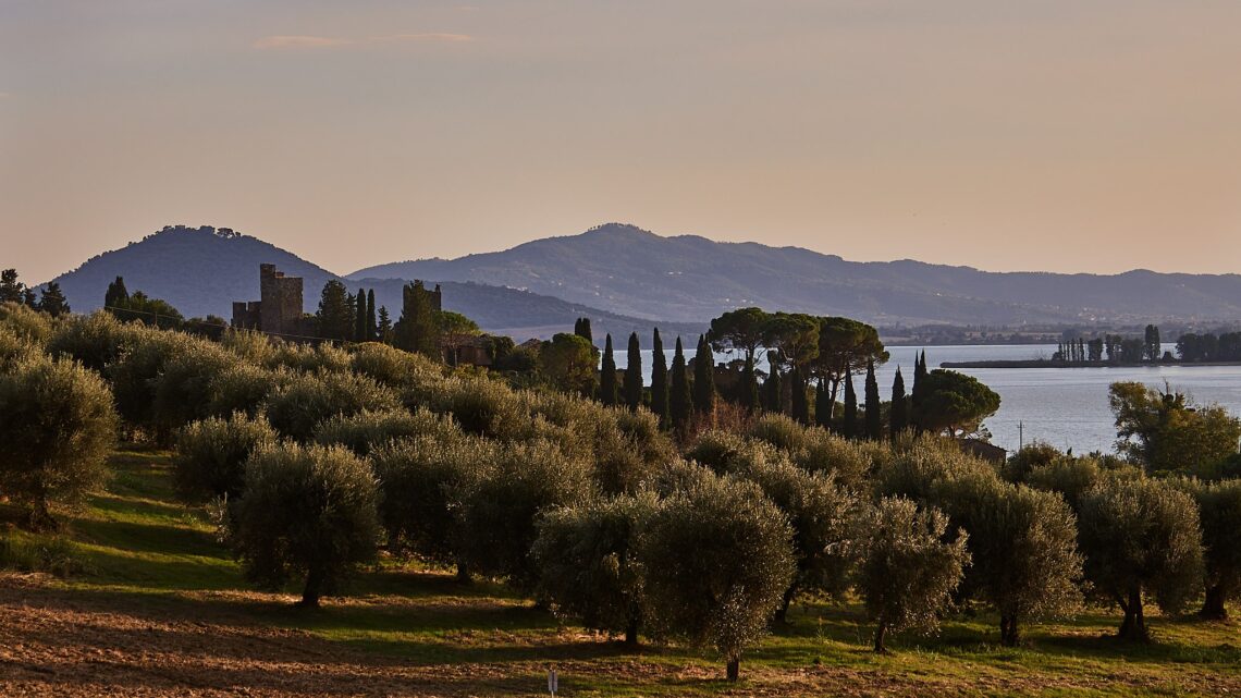 SABATO 5 GIUGNO IL TERZO APPUNTAMENTO. UNA PASSEGGIATA NEL PAESAGGIO OLIVATO DEI COLLI DEL TRASIMENO, A MONTE DEL LAGO DI MAGIONE (PG) GUIDATI DALL’ASSOCIAZIONE “I TUOI CAMMINI”, CHE SI CONCLUDERÀ CON UNA DEGUSTAZIONE DEGLI OLI E.V.O. DELLA FATTORIA LUCA PALOMBARO CON MERENDA E APERITIVO AL TRAMONTO