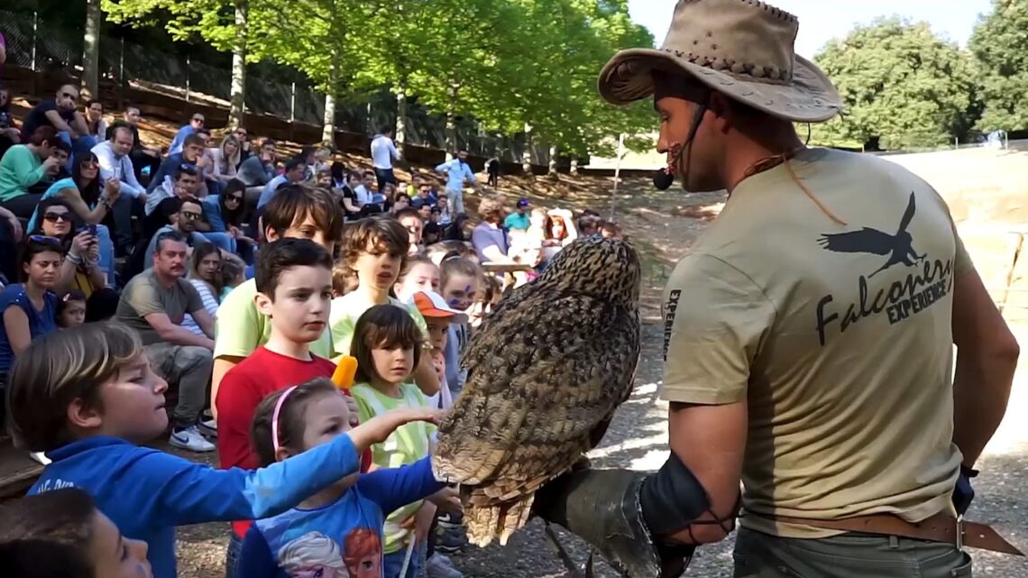 UNA VITA DEDICATA AGLI ANIMALI: ECCO I FALCONIERI DI CITTÀ DELLA DOMENICA