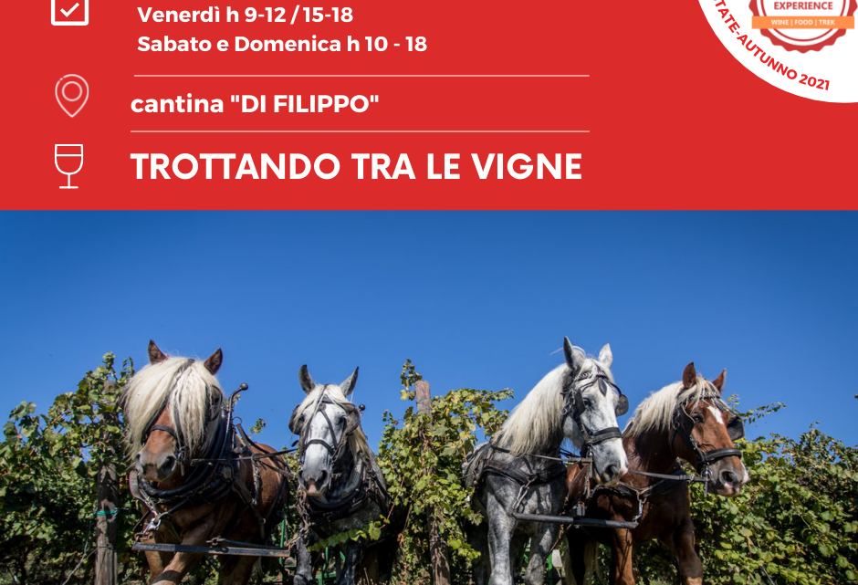 PROSEGUE ‘TROTTANDO TRA LE VIGNE’ IL CARTELLONE DI SAGRANTINO EXPERIENCE